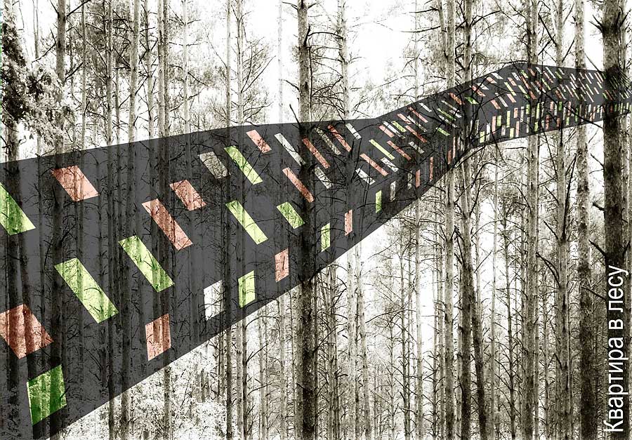 ���������� ������ �����. ������ ����������� ������� � �������� �������.