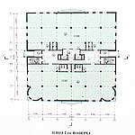 ���� ������� �����. 